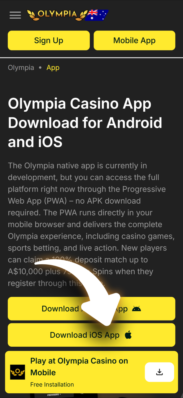 Tap the download button to start the iOS setup.